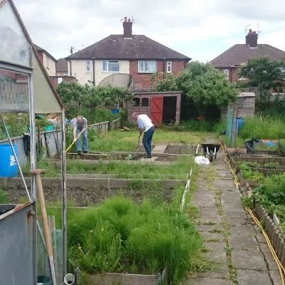 allotment 3
